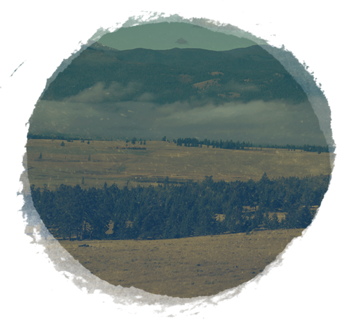 Spectacular Bird Hunting in BC's Cariboo Region near Vancouver - 3000 acres of rolling grasslands